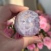 微信图片_20250514134624