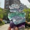 微信图片_20250616002803