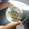 微信图片_20250807004722